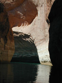 Deep in Davis Gulch